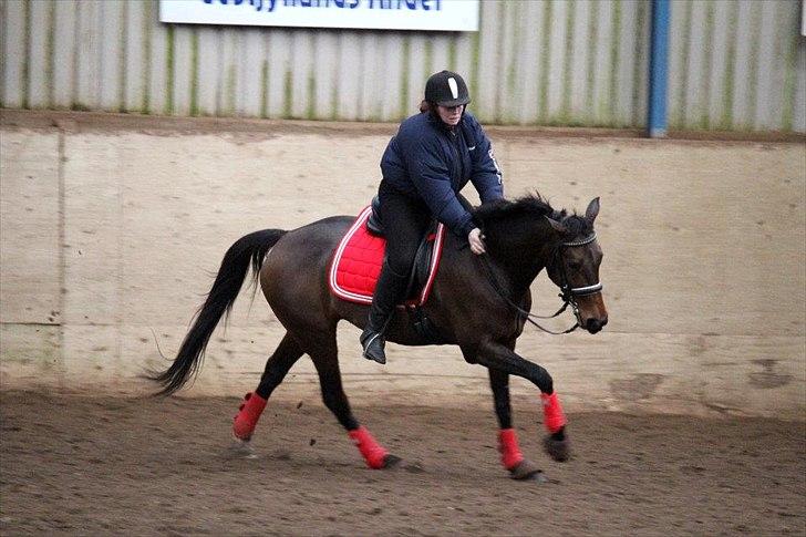 Traver Matasja CN *Natascha* - TAGET AF CHS PHOTO billede 17