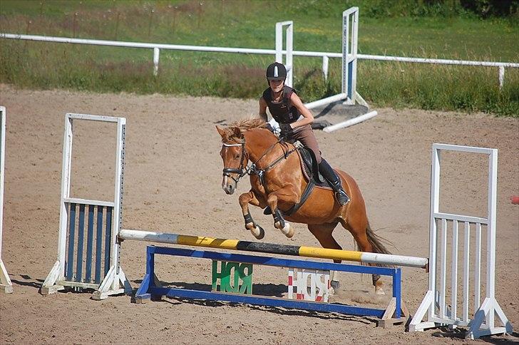 New Forest Nørregårds Miss Moonlight - Ridelejr sommeren 2011
Foto: Ditte Andersen billede 12