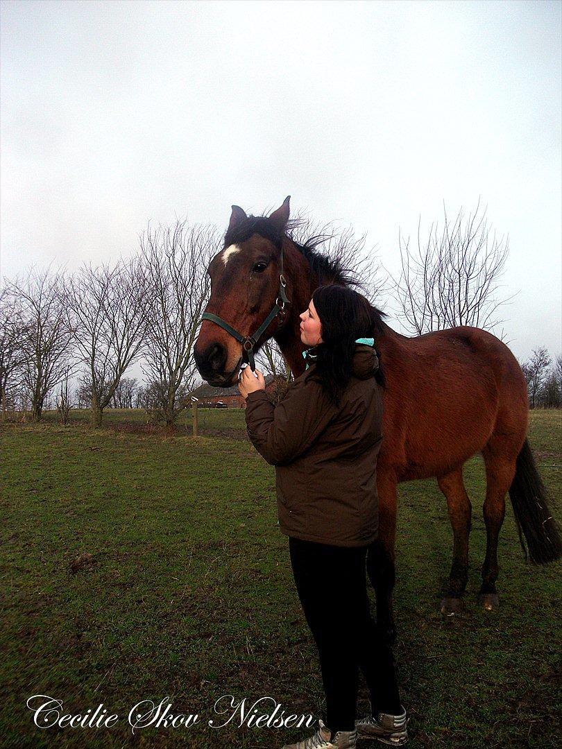 Anden særlig race Epoke  billede 10