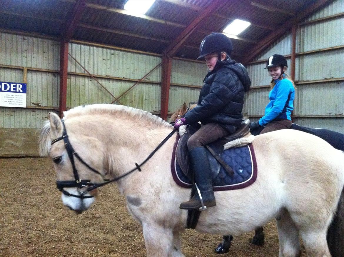 Fjordhest MIster smask - julie og smask :) billede 7