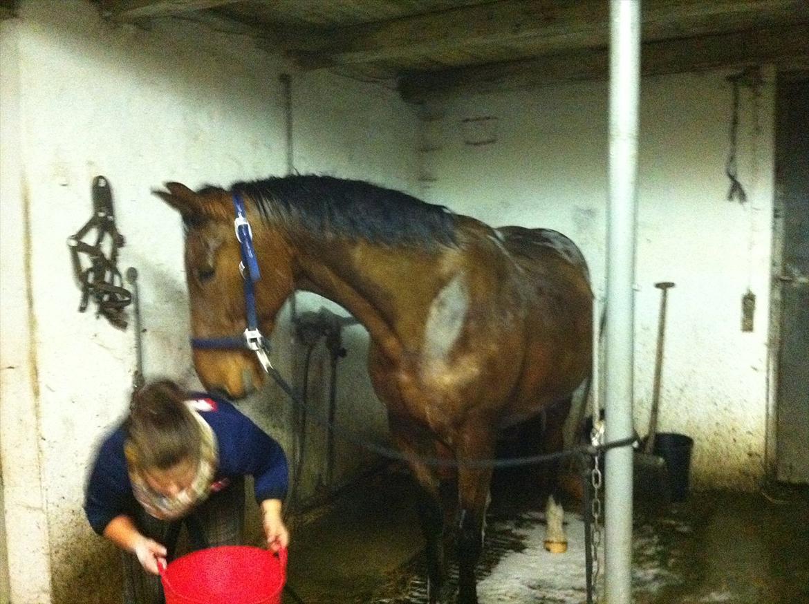 Anden særlig race Sunny -min solstråle<3 - våde sunny <3 billede 7