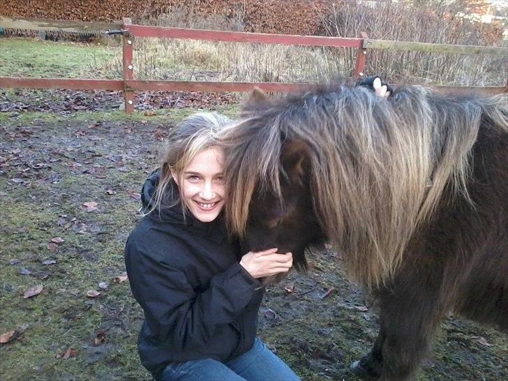 Shetlænder Tot - Sofie og tot :-) billede 11