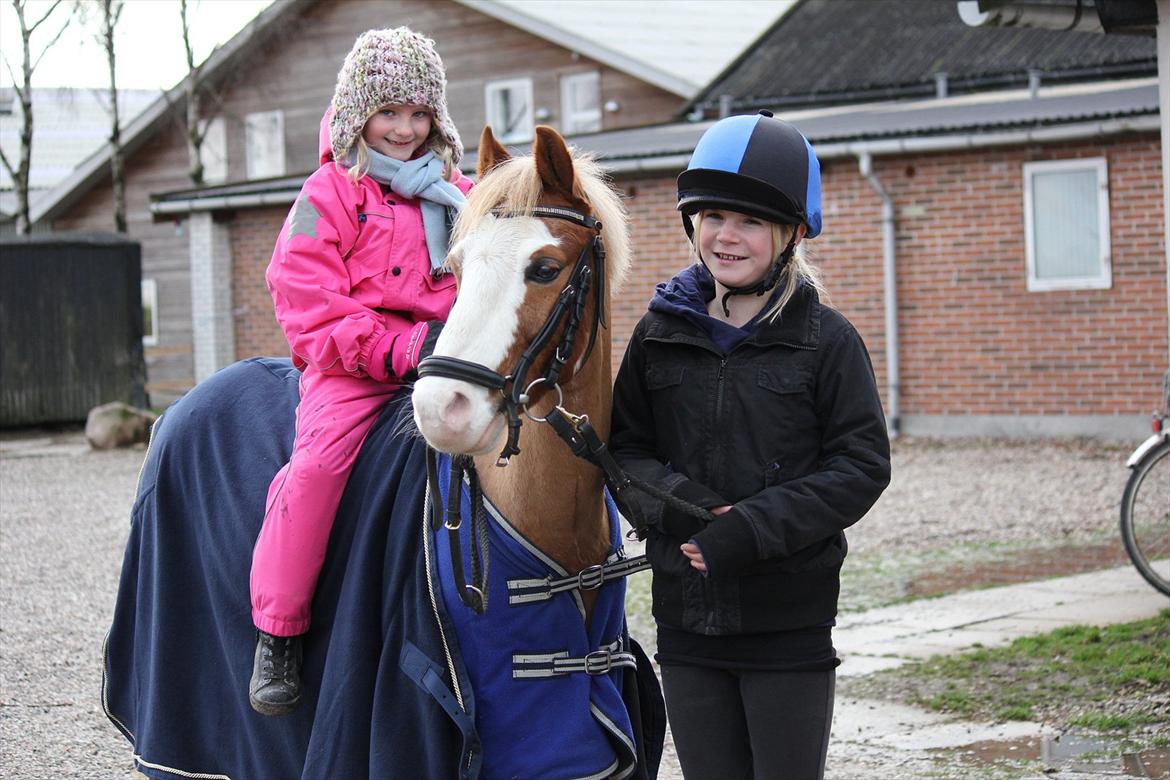 Anden særlig race Dandy RIP †† - Du kan altid få mig til at smile♥ billede 16