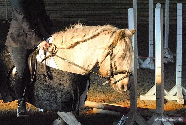 Anden særlig race cæcar billede 10