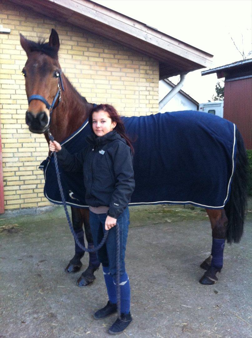 Holstener zarina - min smukke prinsesse :-)  billede 13