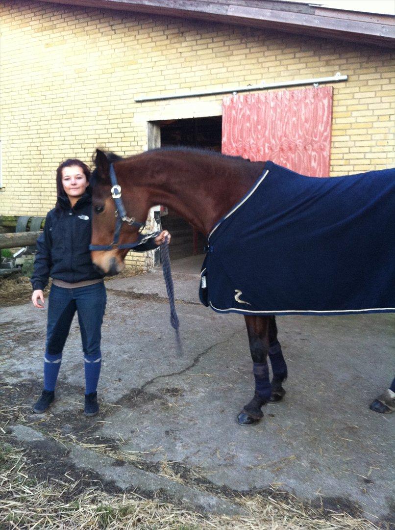 Holstener zarina billede 14