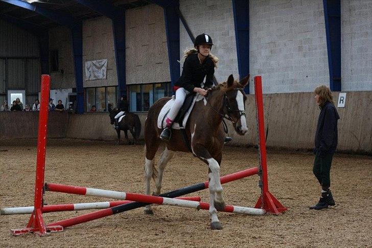 Belgisk varmblod Kærbo Rideklub's Camouflages B - Spring opvisning. billede 13