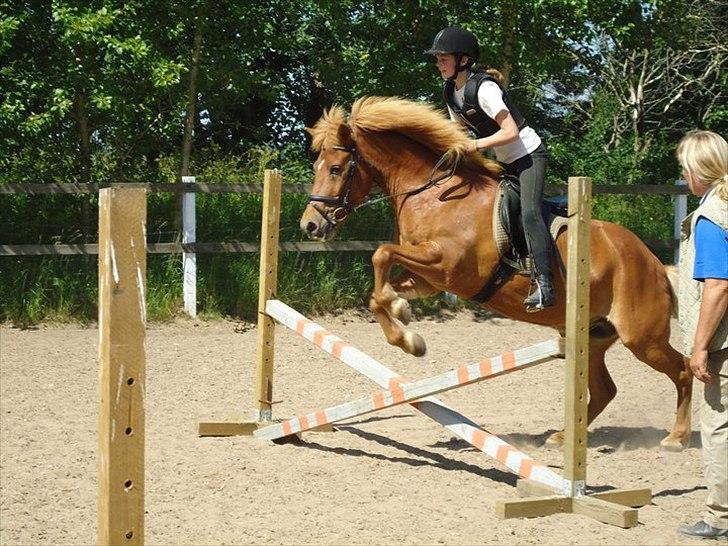 Islænder Drengür - Teknikken før højden <3
~Foto~ Inger :) billede 24