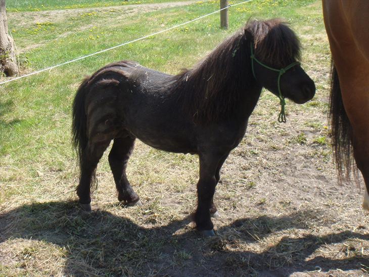 {{currentPhoto.altText}} billede {{currentPhoto.number}}