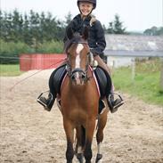 DSP Thanehøjs Noble- Passion