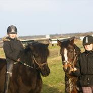 Anden særlig race Prinsessa