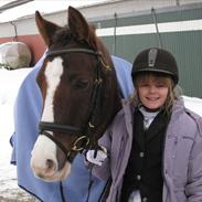 New Forest Deisie´s Delight