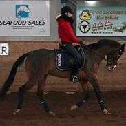 Anden særlig race Meindert [solgt]