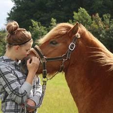 Islænder Kári fra Ouskærgård