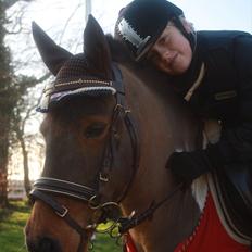 Anden særlig race Lucas (signe)