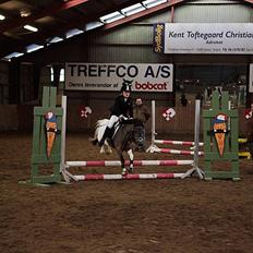 Anden særlig race Lucas (signe)