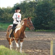 Pinto pintalo min halvpart