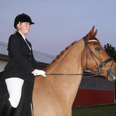 Dansk Varmblod Kafu ..J <3