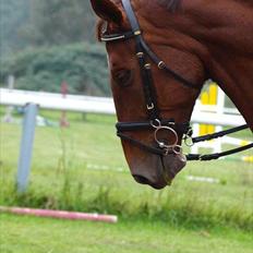 Holstener ARMANI CODE