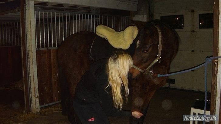 Anden særlig race Zoralla - mig og zoralla er blevet gode venner billede 5
