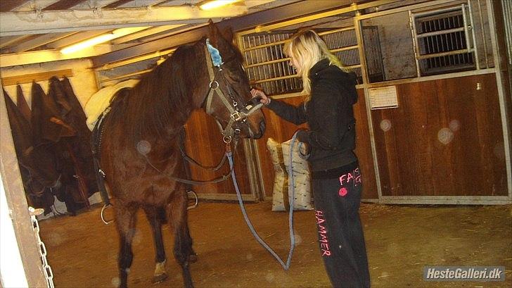 Anden særlig race Zoralla billede 7