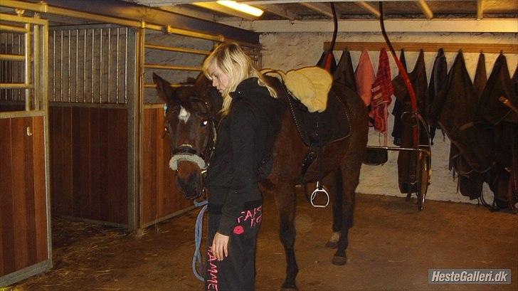 Anden særlig race Zoralla - nyt billede 6