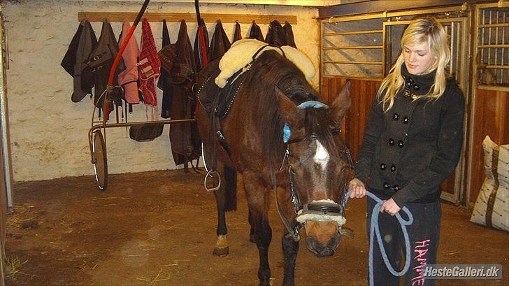 Anden særlig race Zoralla billede 9