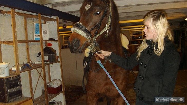 Anden særlig race Zoralla billede 11