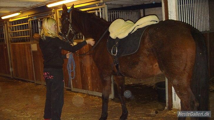 Anden særlig race Zoralla billede 12