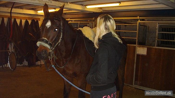 Anden særlig race Zoralla billede 13