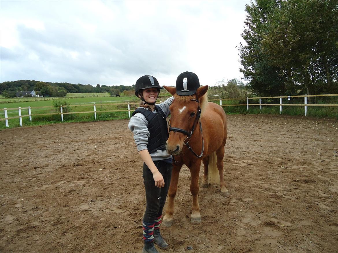 Islænder Drengür - Sikkerheden er i top både hos hest og rytter <3 :p
~Foto~ Signe. billede 25