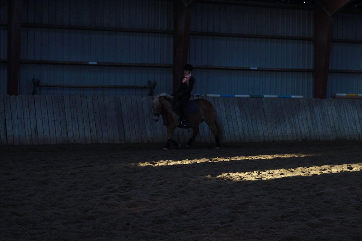 Anden særlig race Nudie (du er Savnet!<3) - dette er den første gang jeg fik ham ned til bidet  billede 4