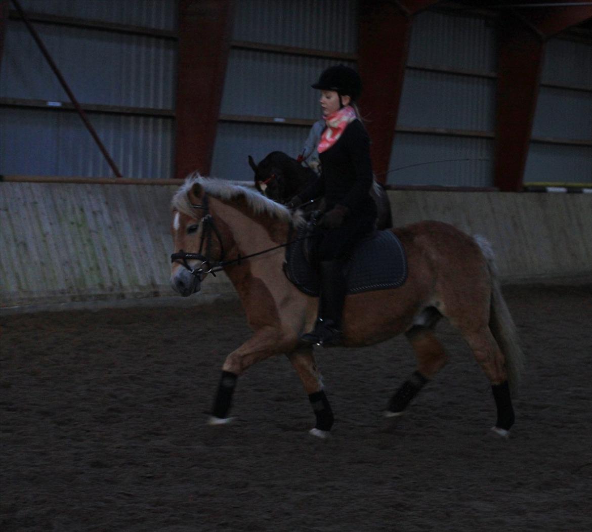 Anden særlig race Nudie (du er Savnet!<3) - han er rigtig flot når han går sådan  billede 2