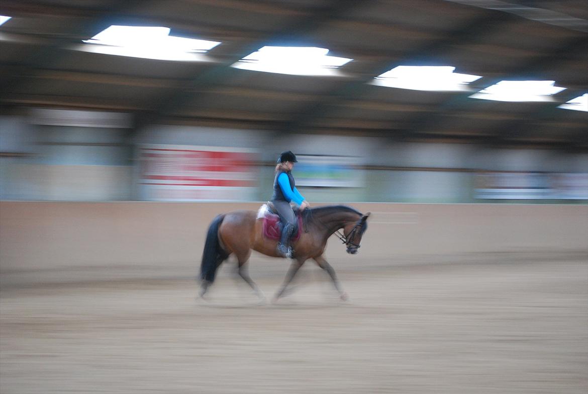 Oldenborg Korea billede 3