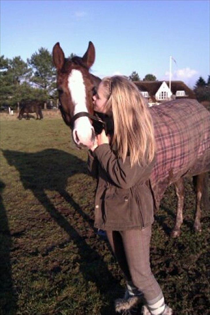 DSP La Rosa <3 billede 3