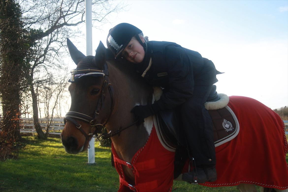 Anden særlig race Lucas (signe) billede 6