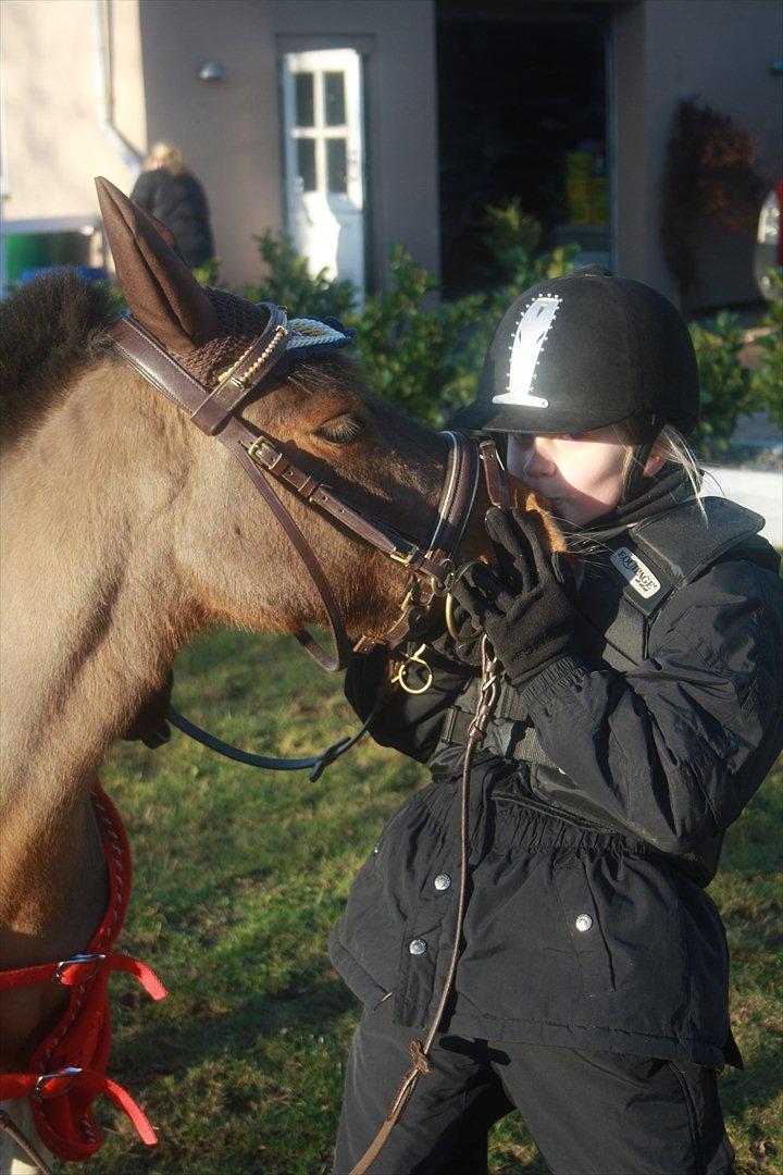 Anden særlig race Lucas (signe) billede 12