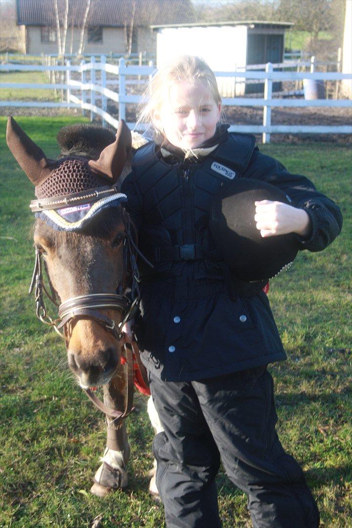 Anden særlig race Lucas (signe) billede 13