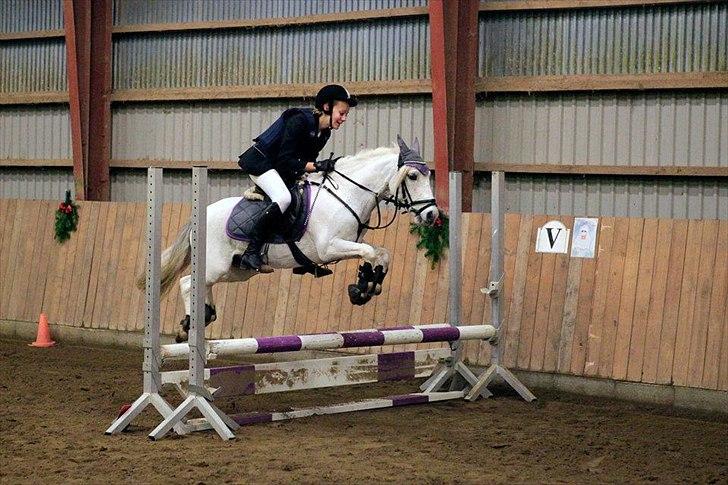 Welsh Pony (sec B) Speedy Gonzarles - min kusine julie og speedy til spring stævne LC billede 12