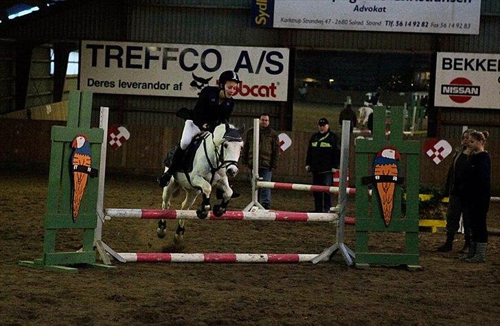 Welsh Pony (sec B) Speedy Gonzarles - min kusine og speedy LC billede 13