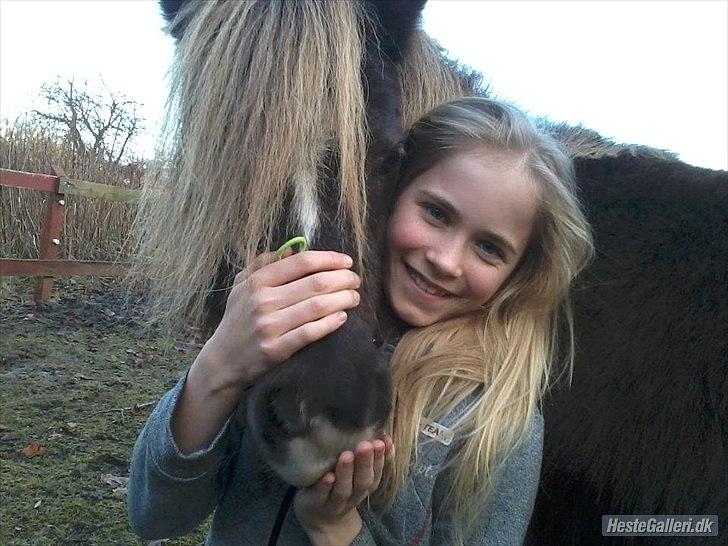 Shetlænder Tot - Her kommer der nogle billeder af min søster Marika og Tot sammen :) billede 7