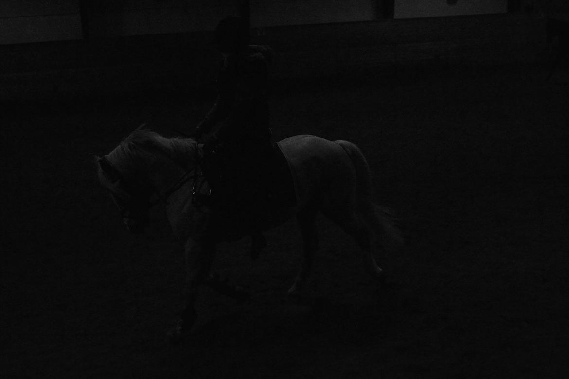 Anden særlig race Silver<3. - Dressur:-) billede 5