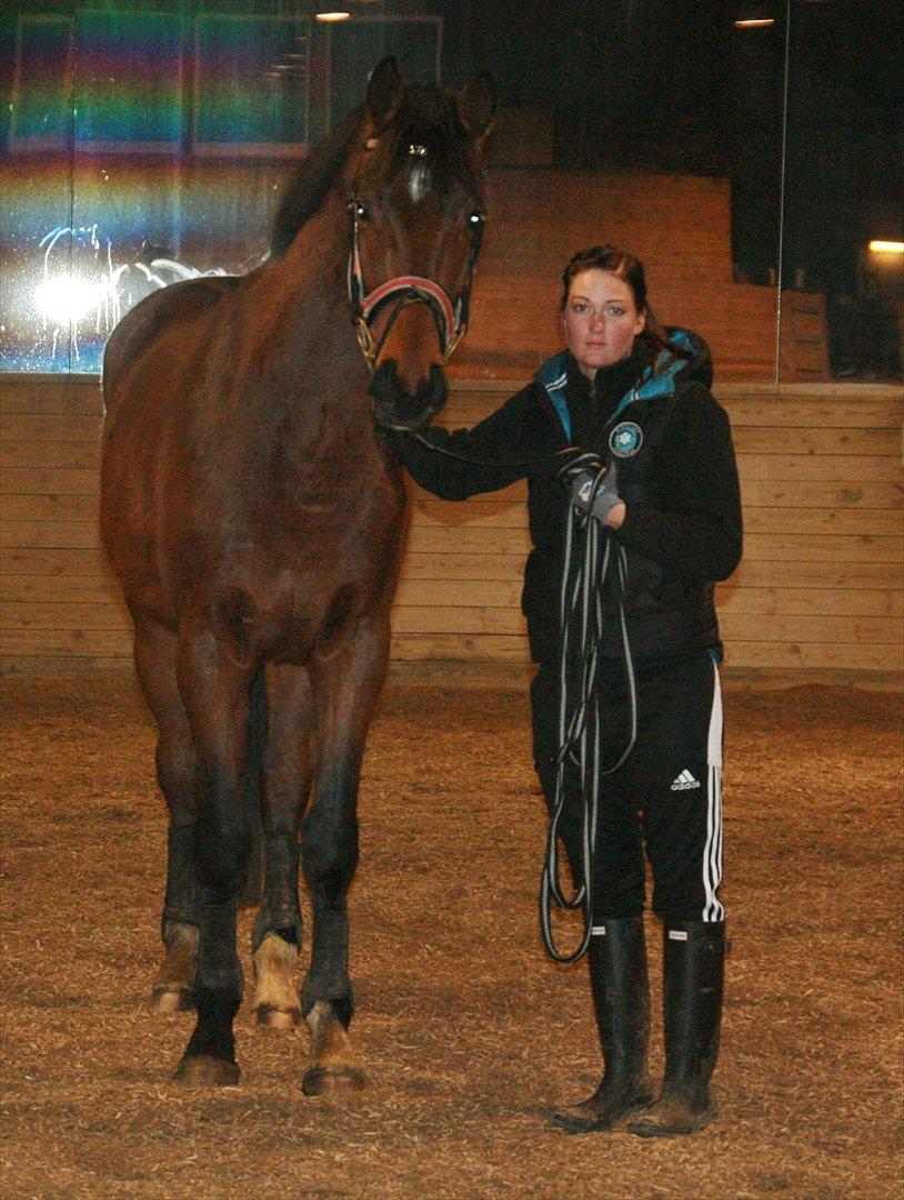 Dansk Varmblod Skovbogaards Camilo billede 3