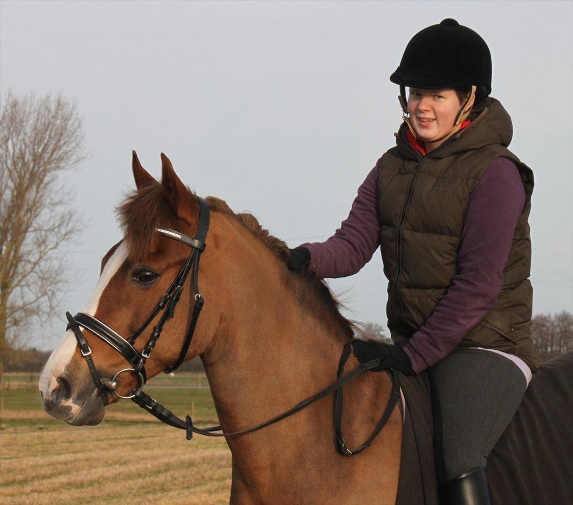 New Forest Wonder  - Foto: Jeanni Nielsen  billede 2