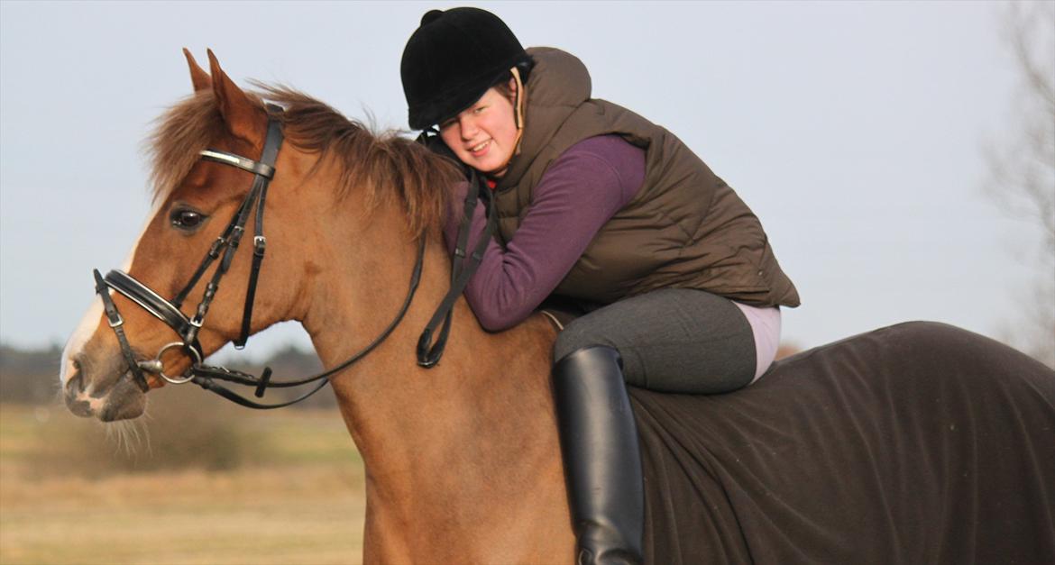 New Forest Wonder  - Foto: Jeanni Nielsen  billede 1