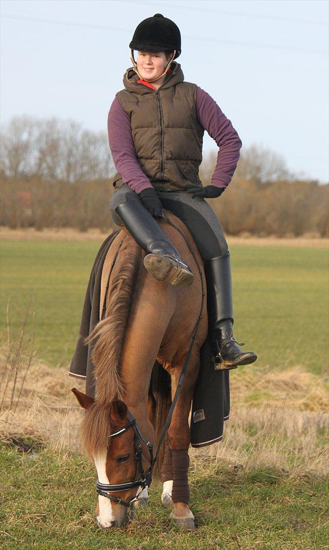 New Forest Wonder  - Foto: Jeanni Nielsen  billede 17