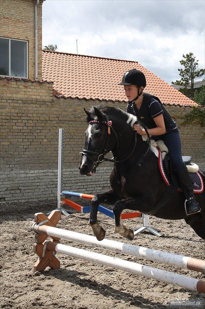 Anden særlig race Bounty ( TIDLIGER DRØMME PART ) - Sidste dag jeg red ham <333 Skønne dyr!! billede 11