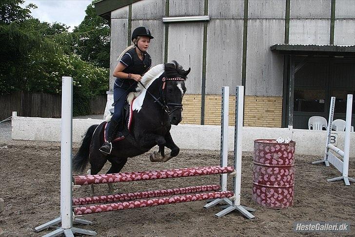 Anden særlig race Bounty ( TIDLIGER DRØMME PART ) - Tak for et godt år!! billede 18