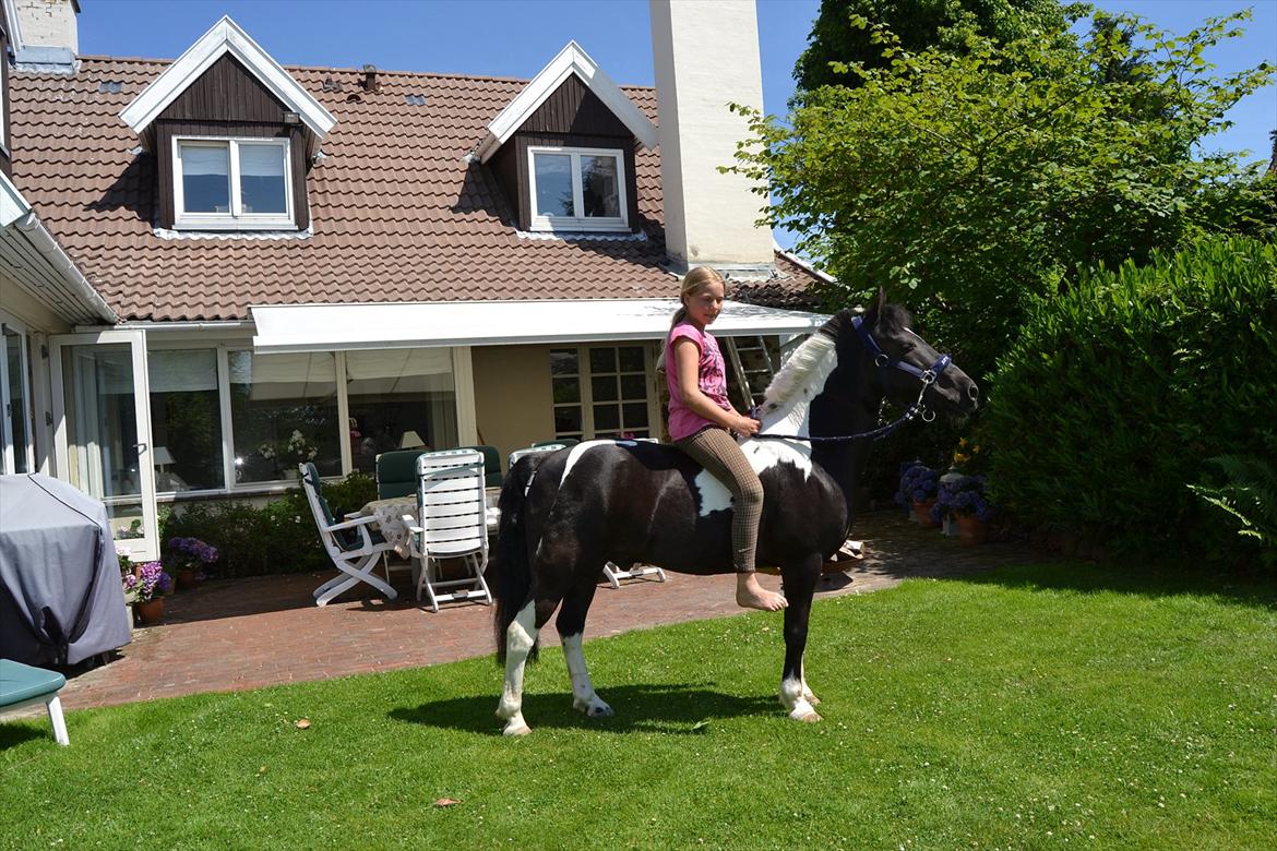 Anden særlig race Bounty ( TIDLIGER DRØMME PART ) - Bouer og jeg i haven <33 billede 12