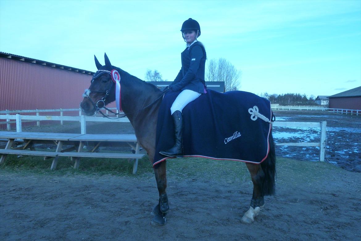 Irsk Sportspony Midnight Exspress - VRCL d.14/1 2012  ellllsker deres rosetter ;-) Lb billede 7
